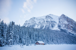 内幕曝光!橄榄球国家队选拔标准,争议不断!