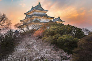 冷静分析！2026世界杯红黄牌，球队战术是否需要做出调整