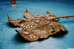 原来是他！国羽新星复盘，球风突变竟是拜这位大神所赐！